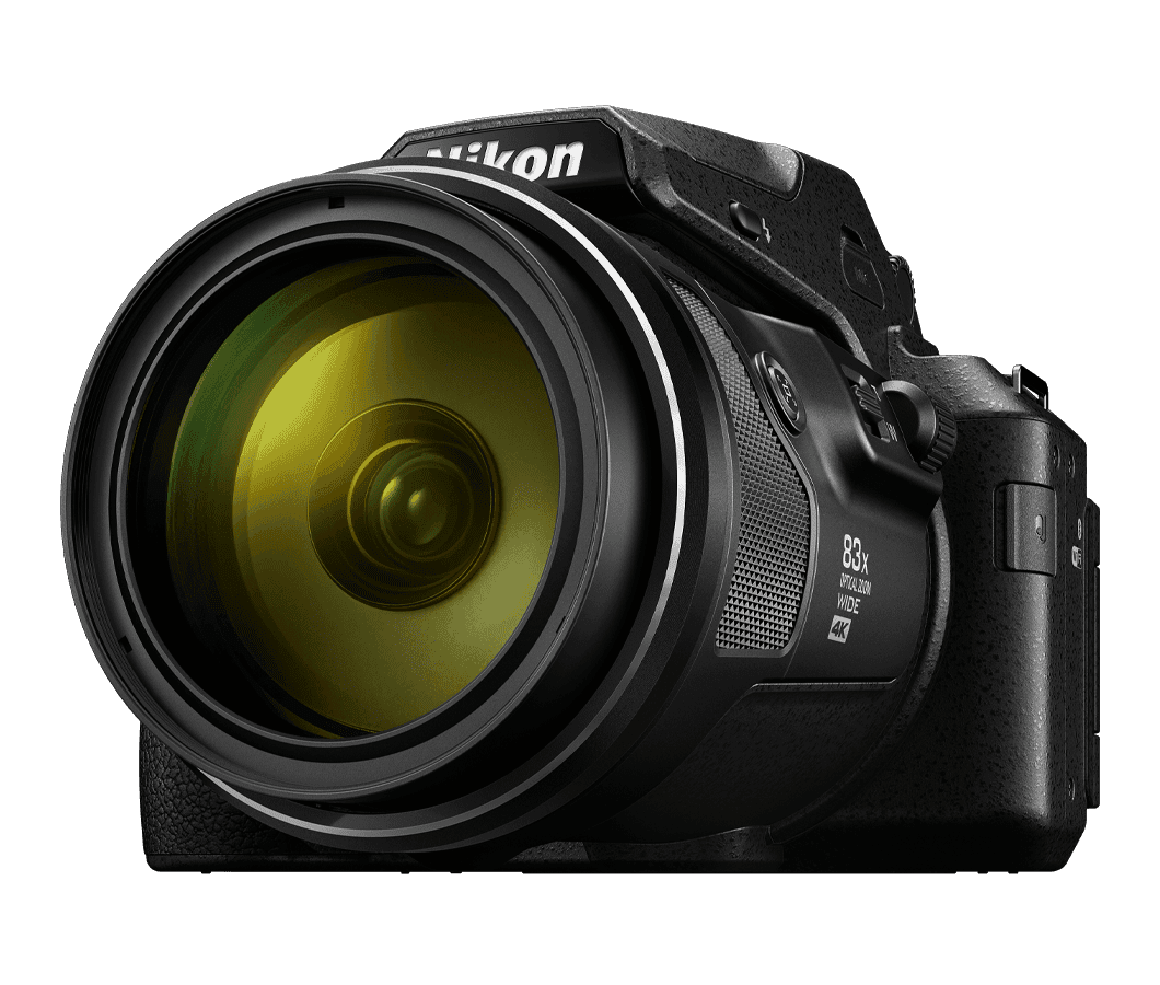 Nikon, Collpix P950, Zoomkamera, Vogelfotografie, Safari, Tierfotografie